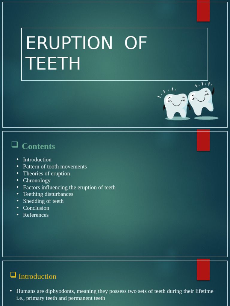 Understanding Tooth Eruption Process | PDF | Human Tooth | Dental Anatomy