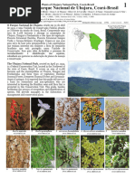 Flora e Funga do Brasil: Lista Completa | PDF | Plants