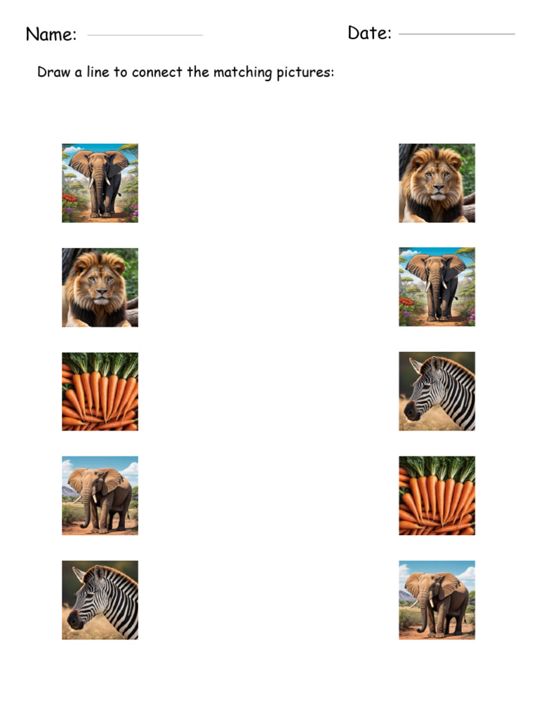 Name: Date:: Draw A Line To Connect The Matching Pictures | PDF