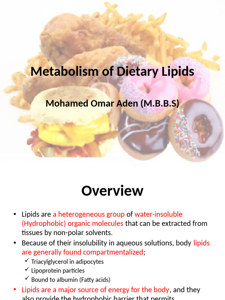 Dietary Lipid Metabolism Explained | PDF | Lipoprotein | Lipid
