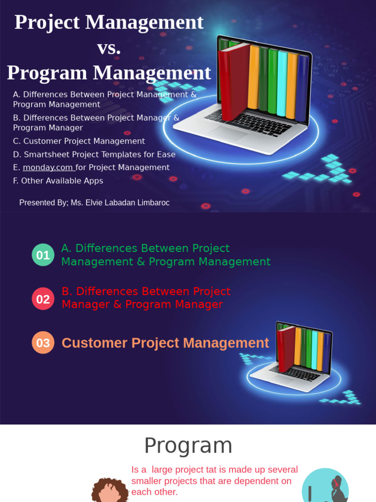 Project Management Vs Program Management | PDF | Project Management ...