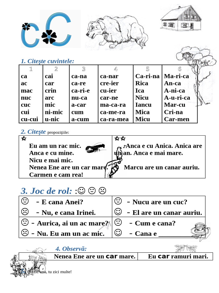 Fisa de Citit CC 8 Dec 09 | PDF