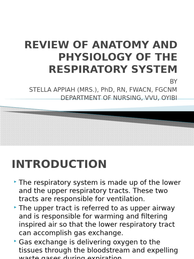 Lecture 3 Anatomy And Physiology Of The Respiratory System Pdf