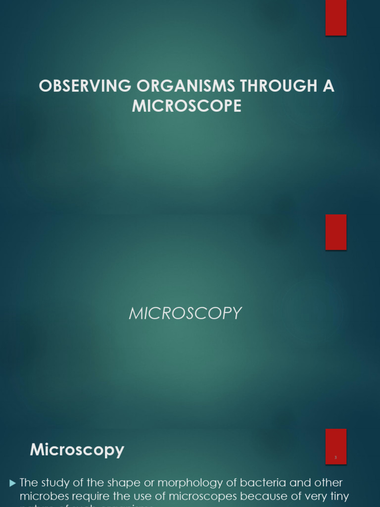 Microscopy Techniques for Microbial Study | PDF | Staining | Microscope
