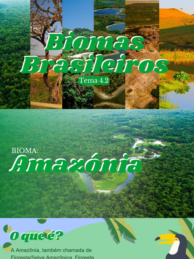 Biomas Brasileiros: Amazônia e Cerrado | PDF | Floresta Amazônica ...
