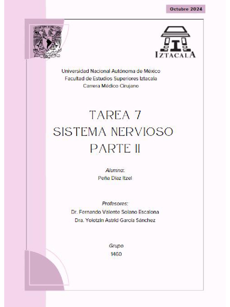 Tarea 7 Sn Ii Pdf Neurona Motora Neuroanatomía