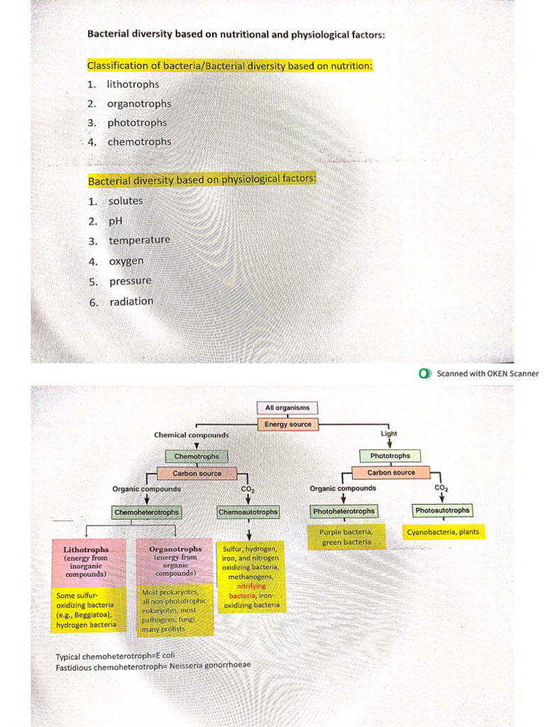 Bacterial Diversity Based On Nutrients and Physiological Factors | PDF