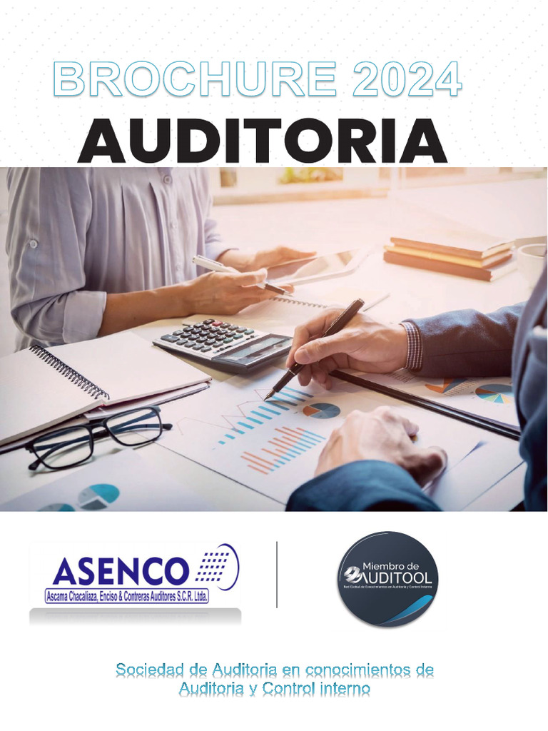 Brochure Auditoria 2024 | PDF | Auditoría | normas internacionales de ...