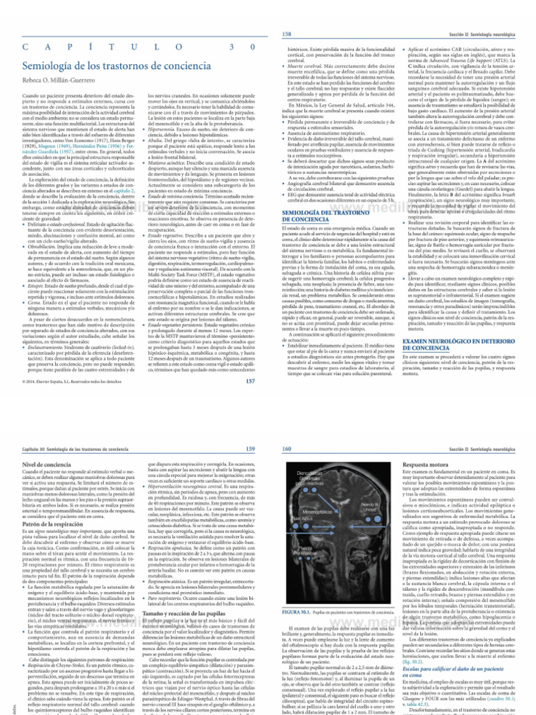 Estudio Del Coma | PDF | Coma | Cerebro