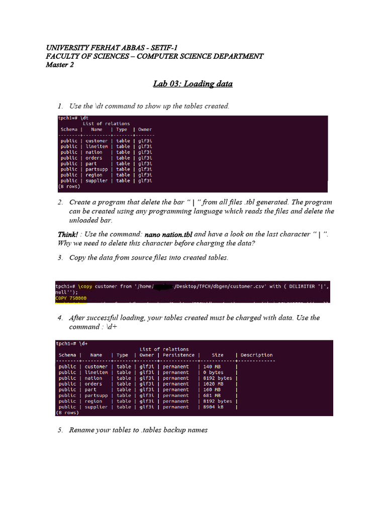 Master Lab: Data Loading Guide | PDF
