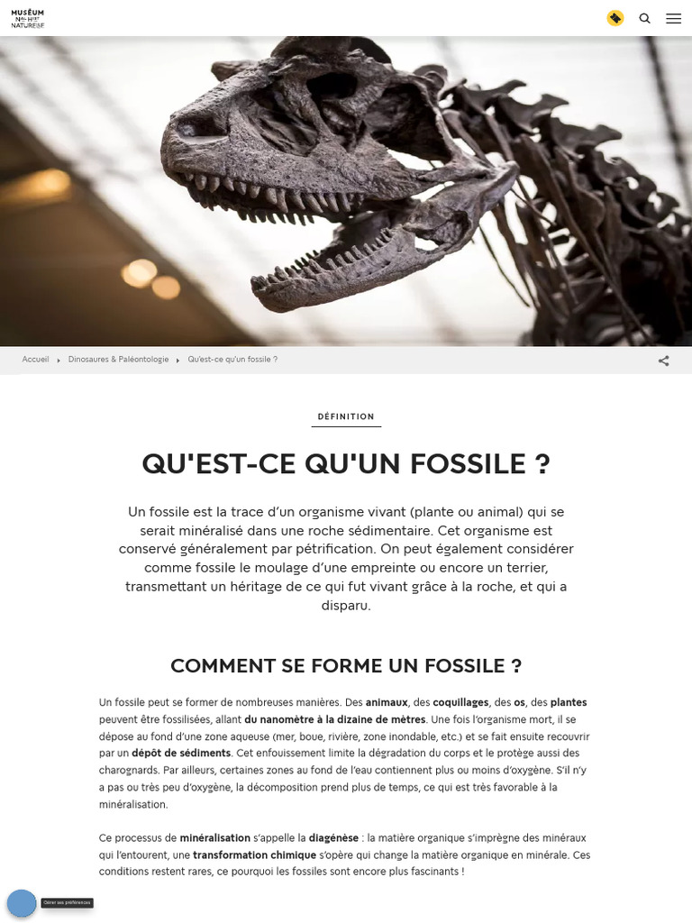Fossiles : Définition et Formation | PDF | Fossile