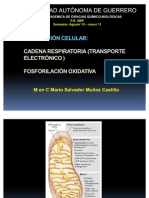 Cadena Respiratoria 2009