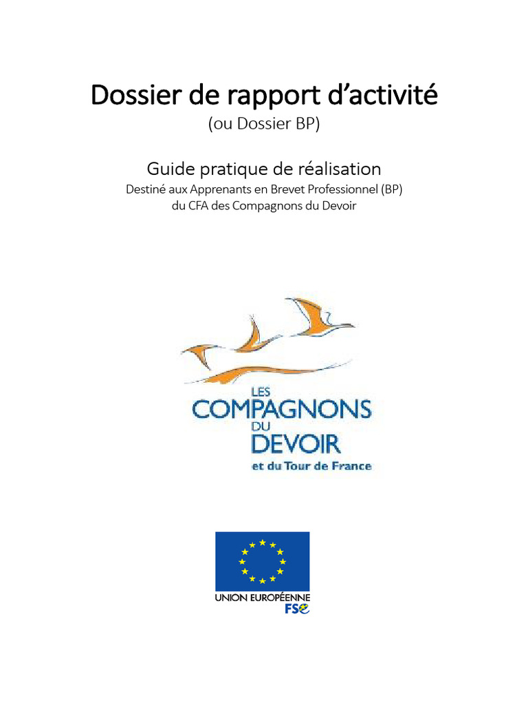 Guide du Dossier BP pour Apprenants | PDF | Business