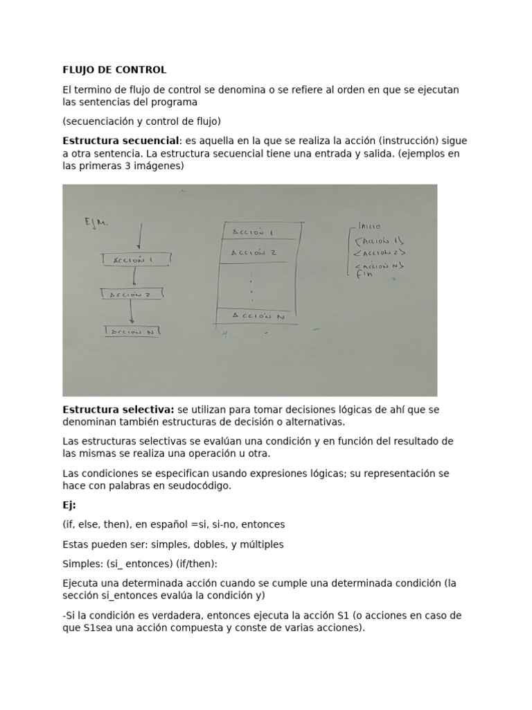 Flujo de Control | PDF | Algoritmos | Flujo de control