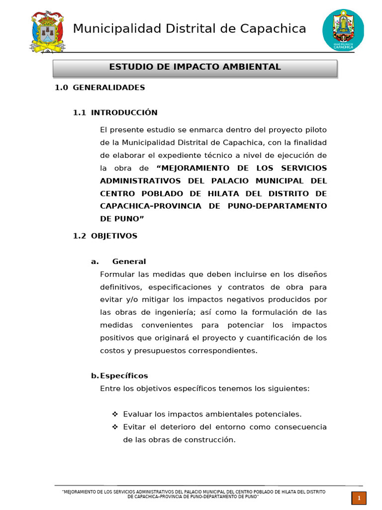 05 - 01 Estudio de Impacto Ambiental | PDF | Evaluación de impacto ...