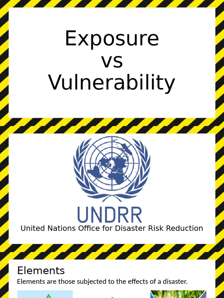 Exposure and Vulnerability | PDF