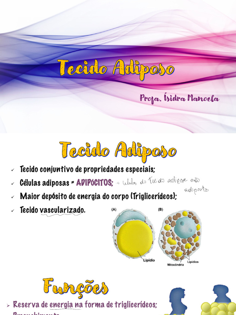 Funções e Tipos de Tecido Adiposo | PDF | Tecido adiposo | Lipoproteína