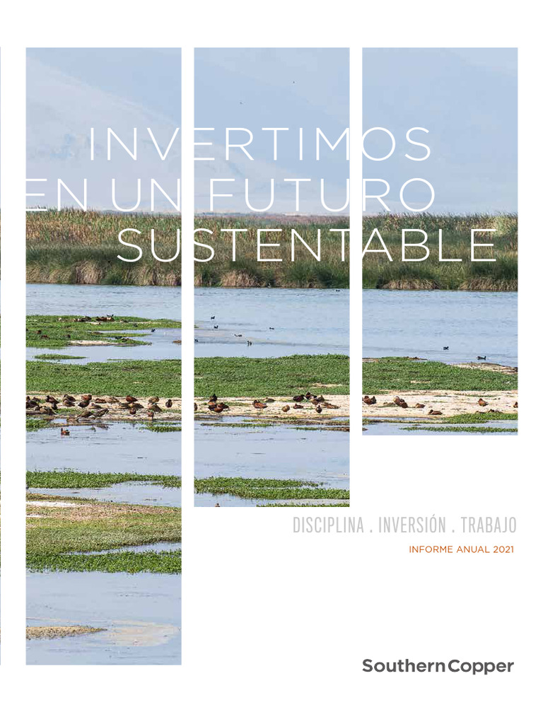 m2021e | PDF | Sustentabilidad | Entorno natural
