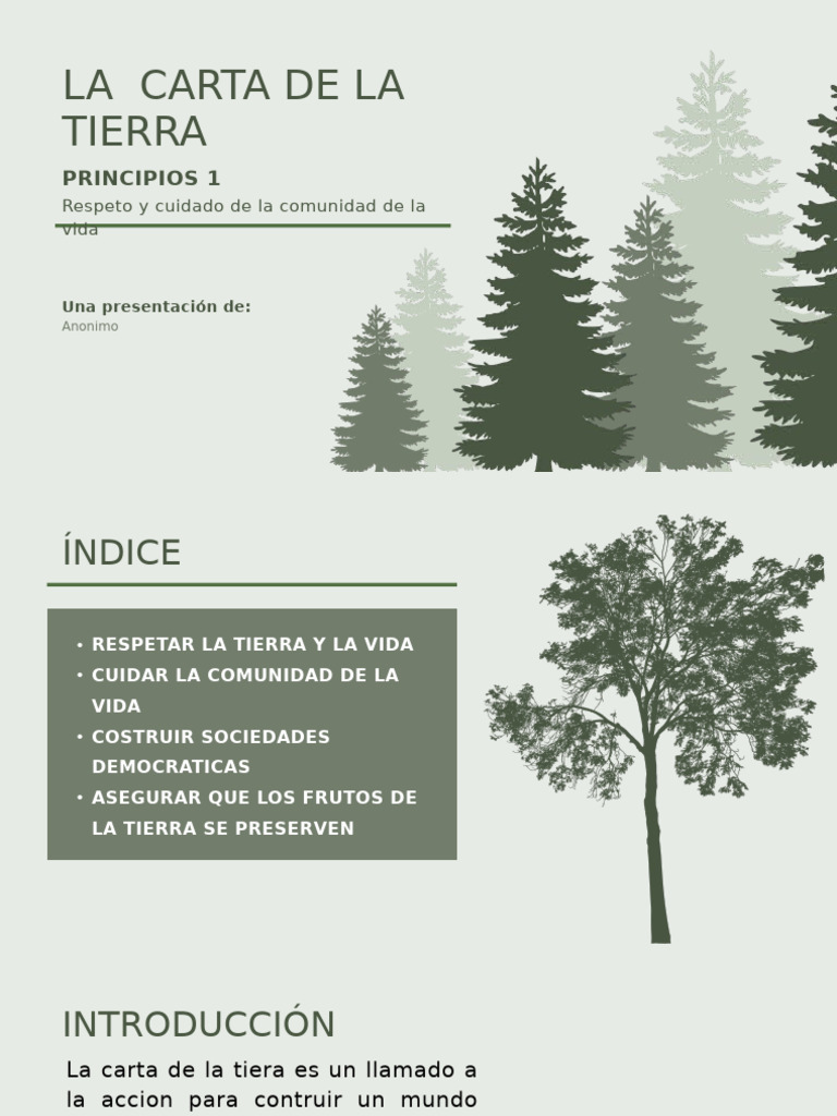Principios Éticos de la Carta de la Tierra | PDF | Sustentabilidad ...