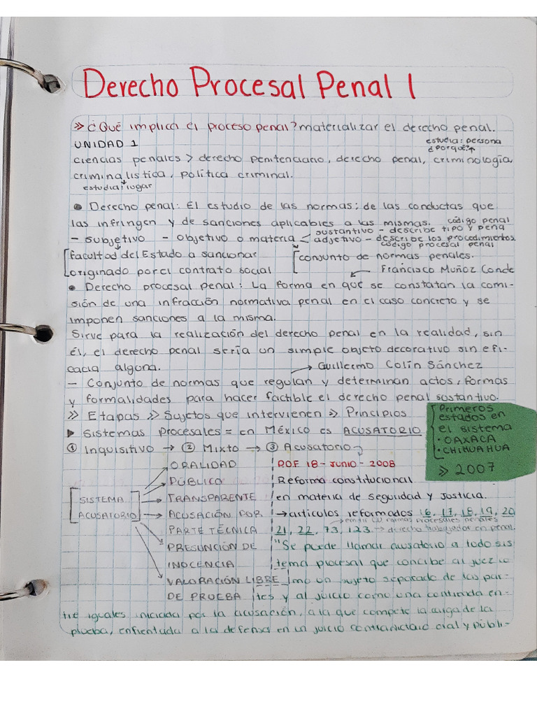 Apuntes Procesal Penal 1 | PDF
