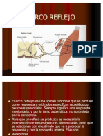 8arco Reflejo 1221777168904397 9