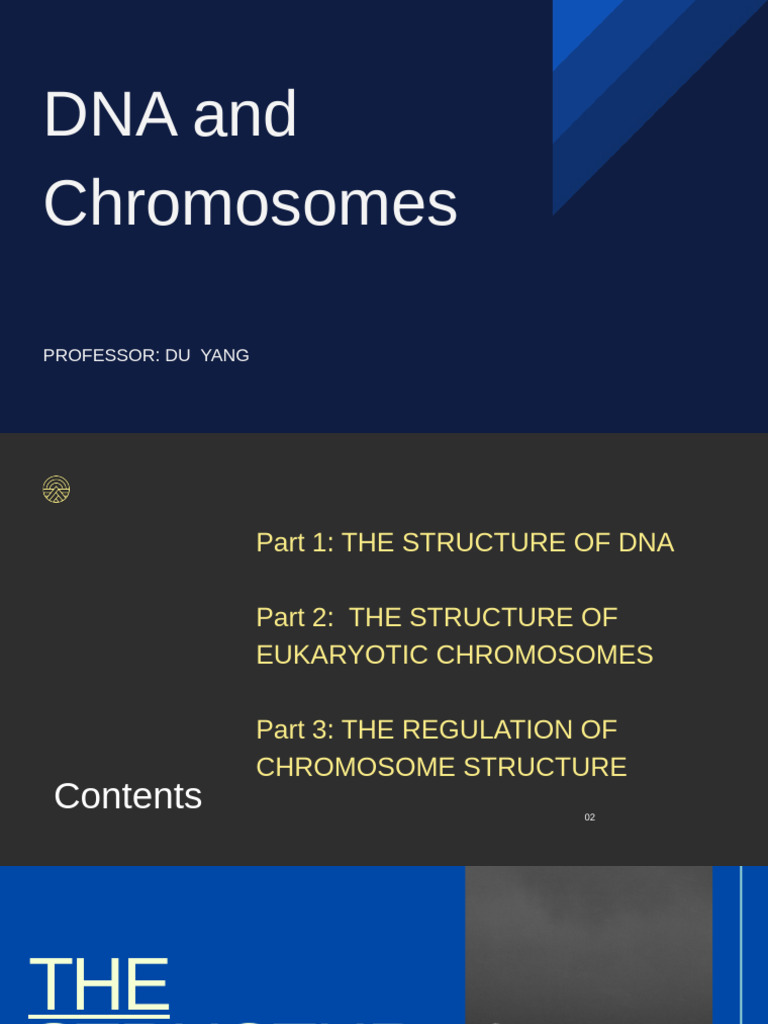 CHAPTER 5 DNA and Chromosomes | PDF