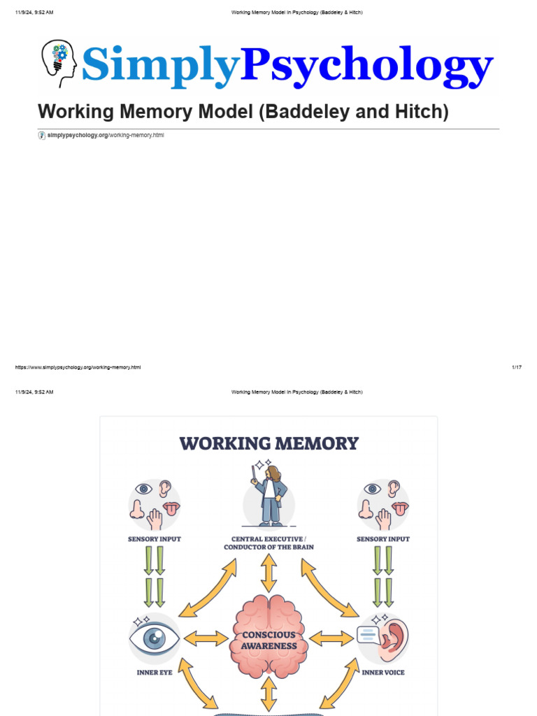Baddeley & Hitch's Working Memory Model | PDF | Working Memory ...