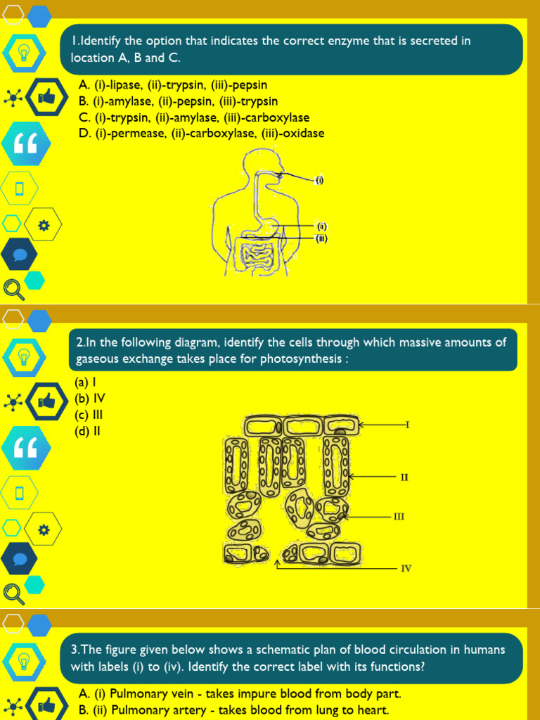 Class 10 Life Processes Questions | PDF | Digestion | Heart