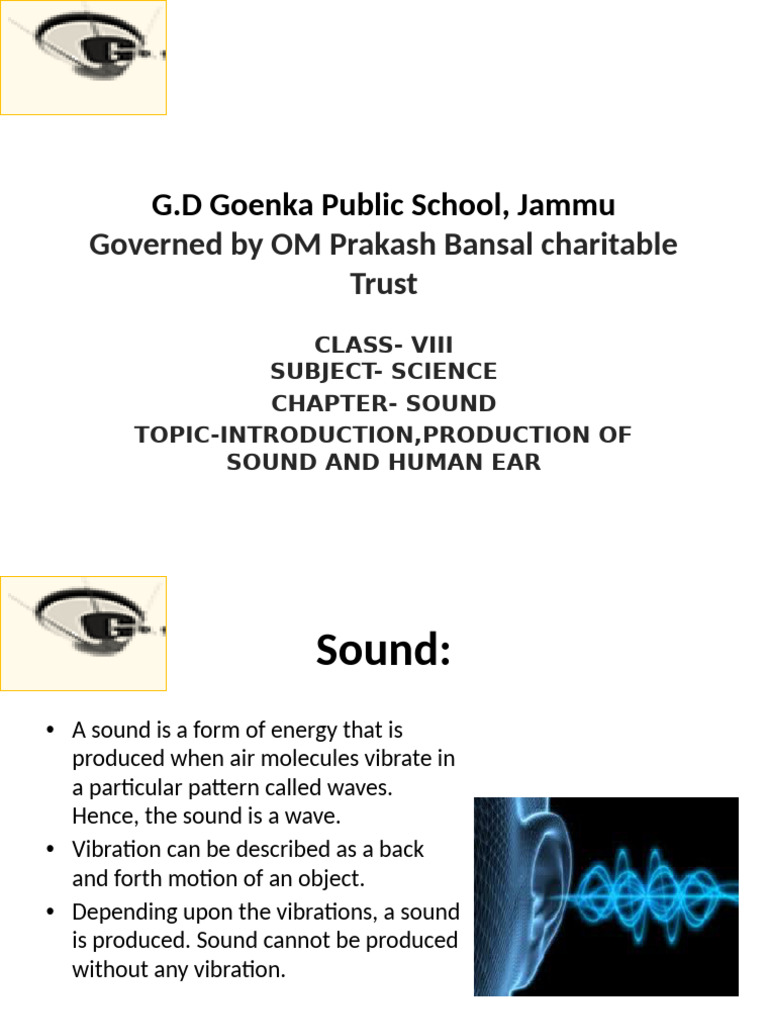 Sound 1 | PDF | Sound | Ear