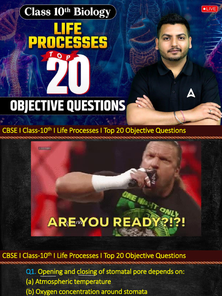 Class 10 Life Processes: Top 20 Questions | PDF | Anatomy | Physiology