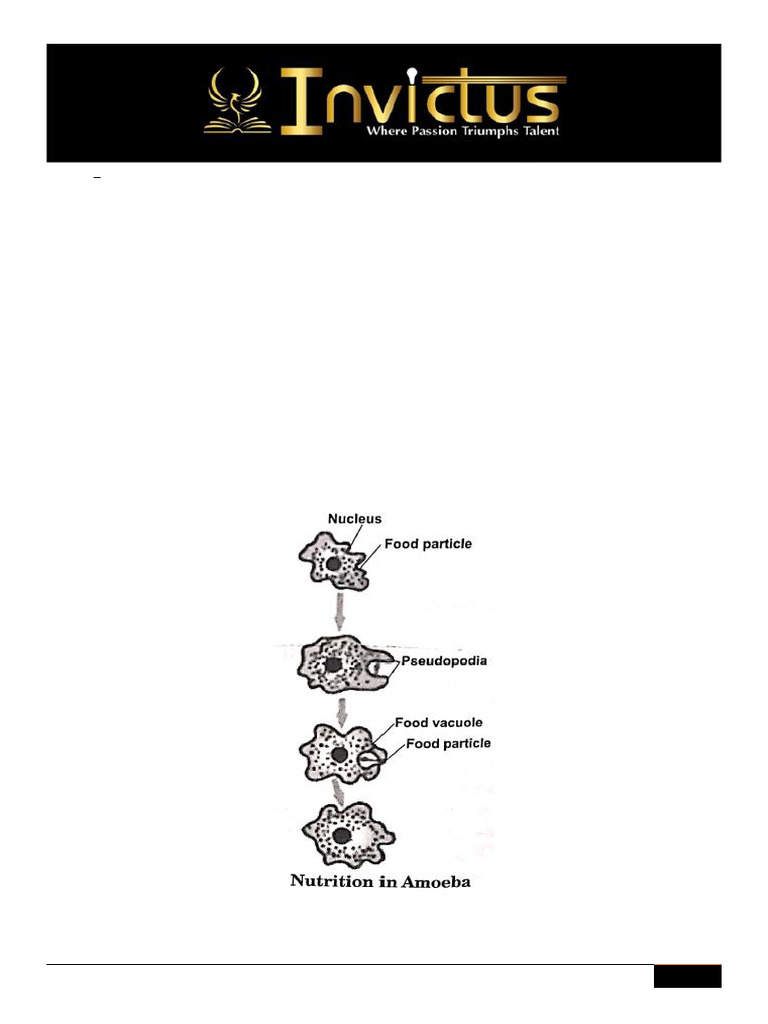 Life processes subjective questions 10th bio 18 8 22 with solutions