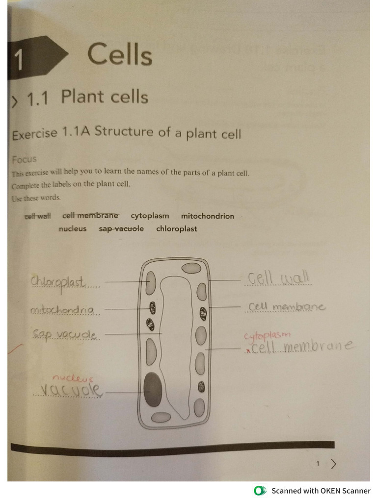 Sci Unit 1 Workbook | PDF