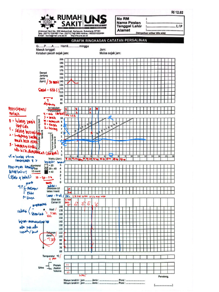 Contoh Partograf Pembukaan 10 cm | PDF