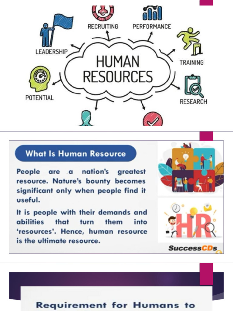 Human Resources | PDF