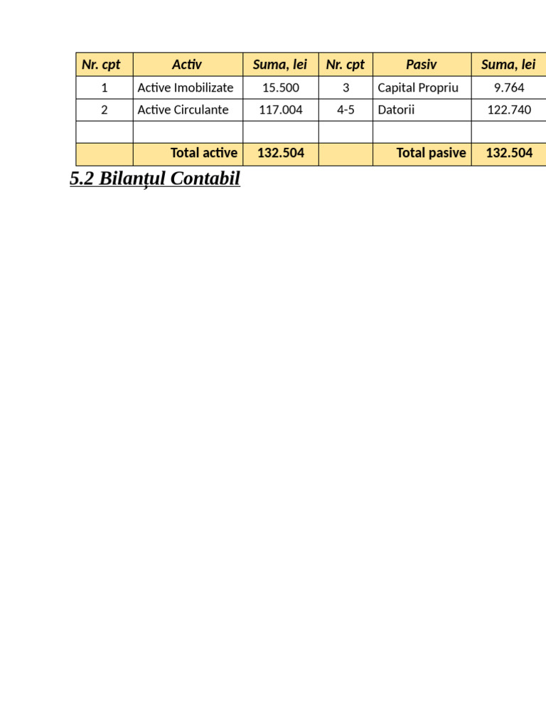 Bilanțul Contabil | PDF