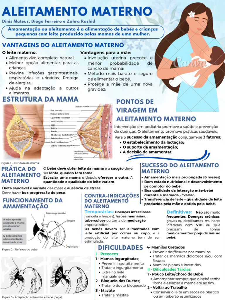 Cópia de Infografia - Aleitamento Materno | PDF | Amamentação | Seio