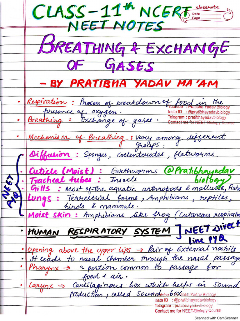 Ncert Notes With Pyq - Breathing & Exchan | PDF