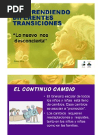Entendiendo Las Transiciones.fevas