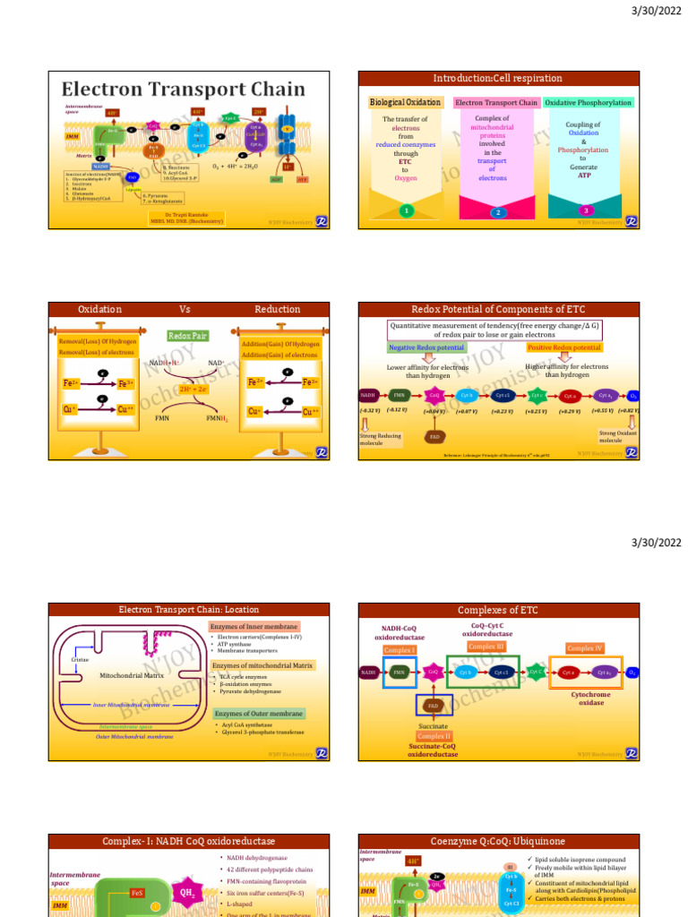 ETC pdf | PDF | Electron Transport Chain | Redox
