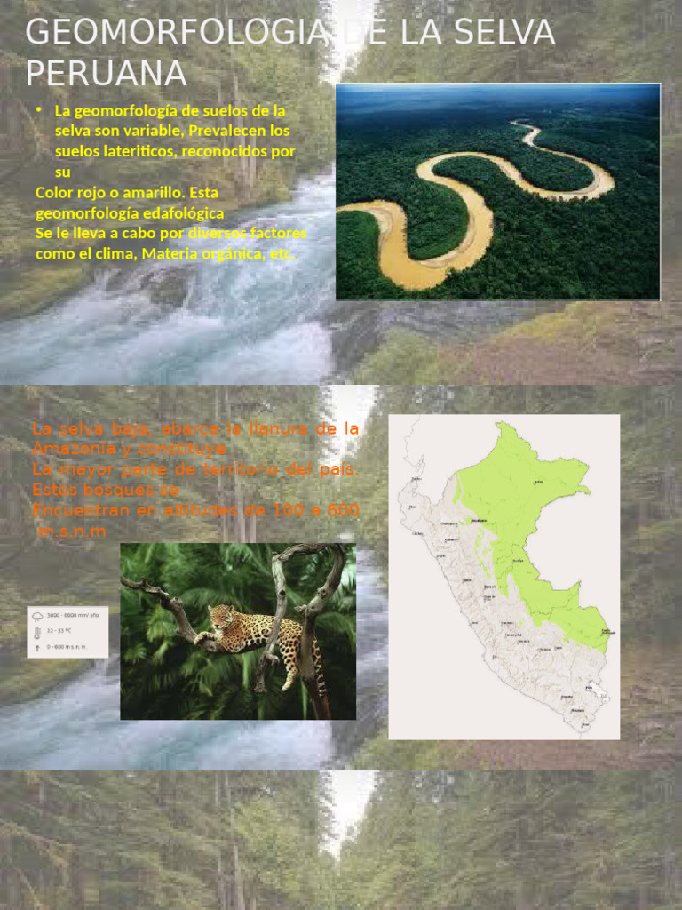 Geomorfología de la Selva Peruana | PDF