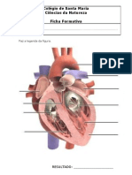 Ficha Coração