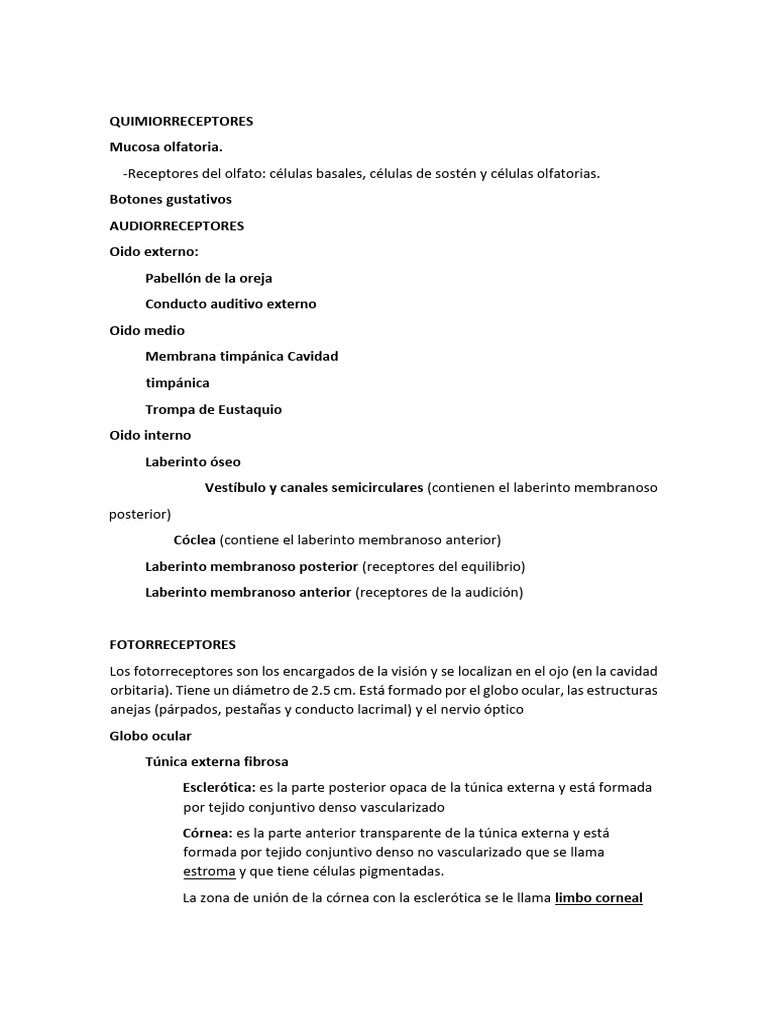 Guión Temas 40 y 41 | PDF | Oído | Ojo