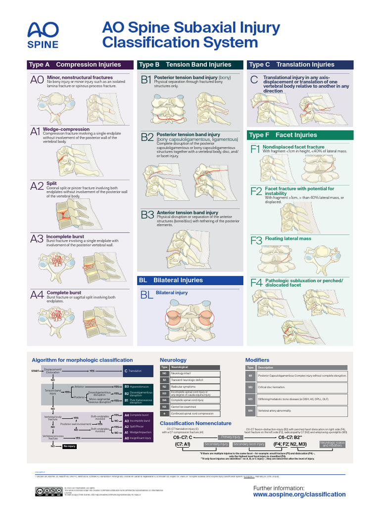 AOS Injury Classification Systems Cer | PDF | Vertebra | Clinical Medicine