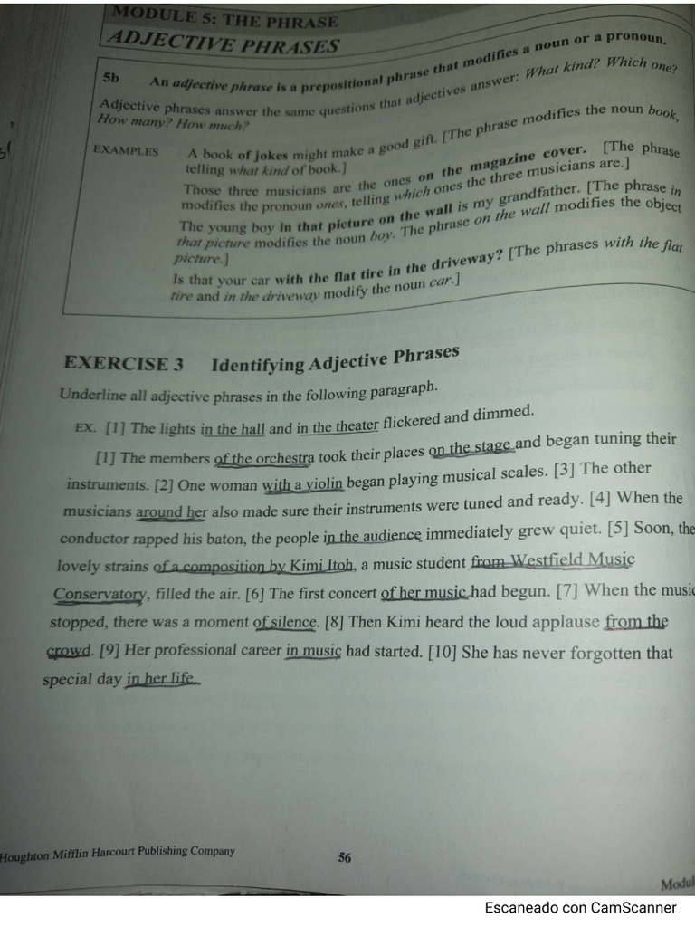 Adjective Phrase | PDF
