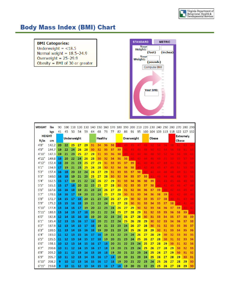 W 4 Bmi Chart | PDF
