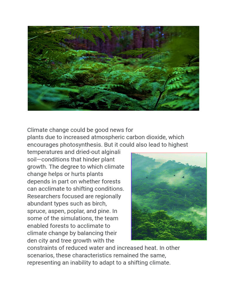 Impact of Climate Change on Forest Growth | PDF