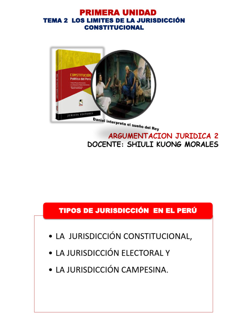 Tema 2 Limites de La Jurisdiccion Constitucional | PDF | Constitución ...