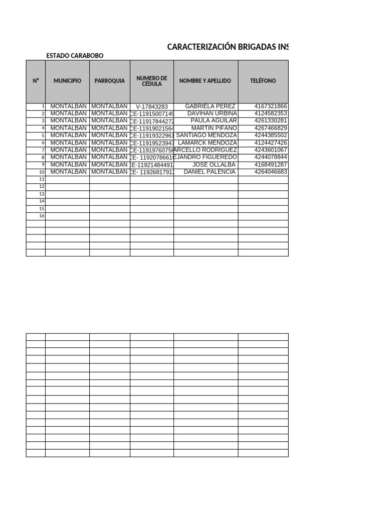 Formato Rac Mppe | PDF