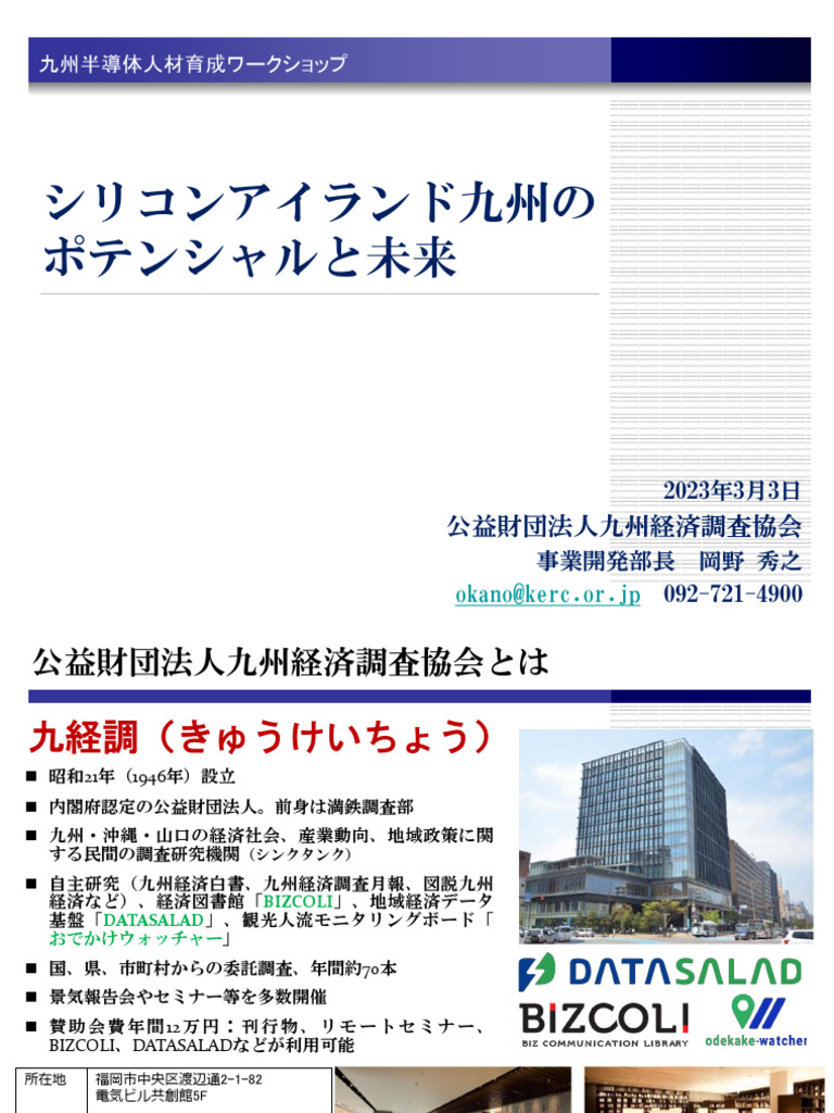 半導体産業計画総覧 2019ー2020年度版 （2019-20 半導体産業計画