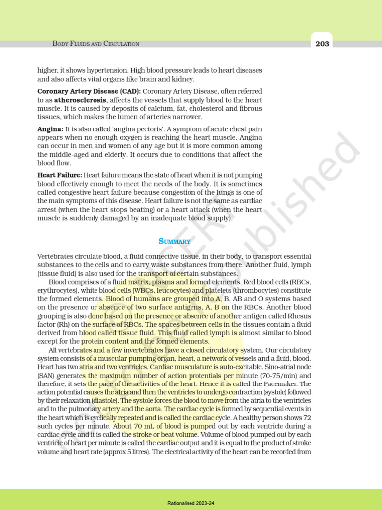 NCERT 11th Biology new 2023_21 | PDF | Heart | Blood
